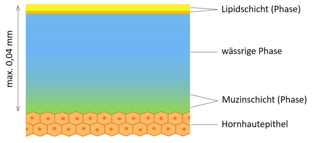 Aufbau des Tränenfilms, schematisch