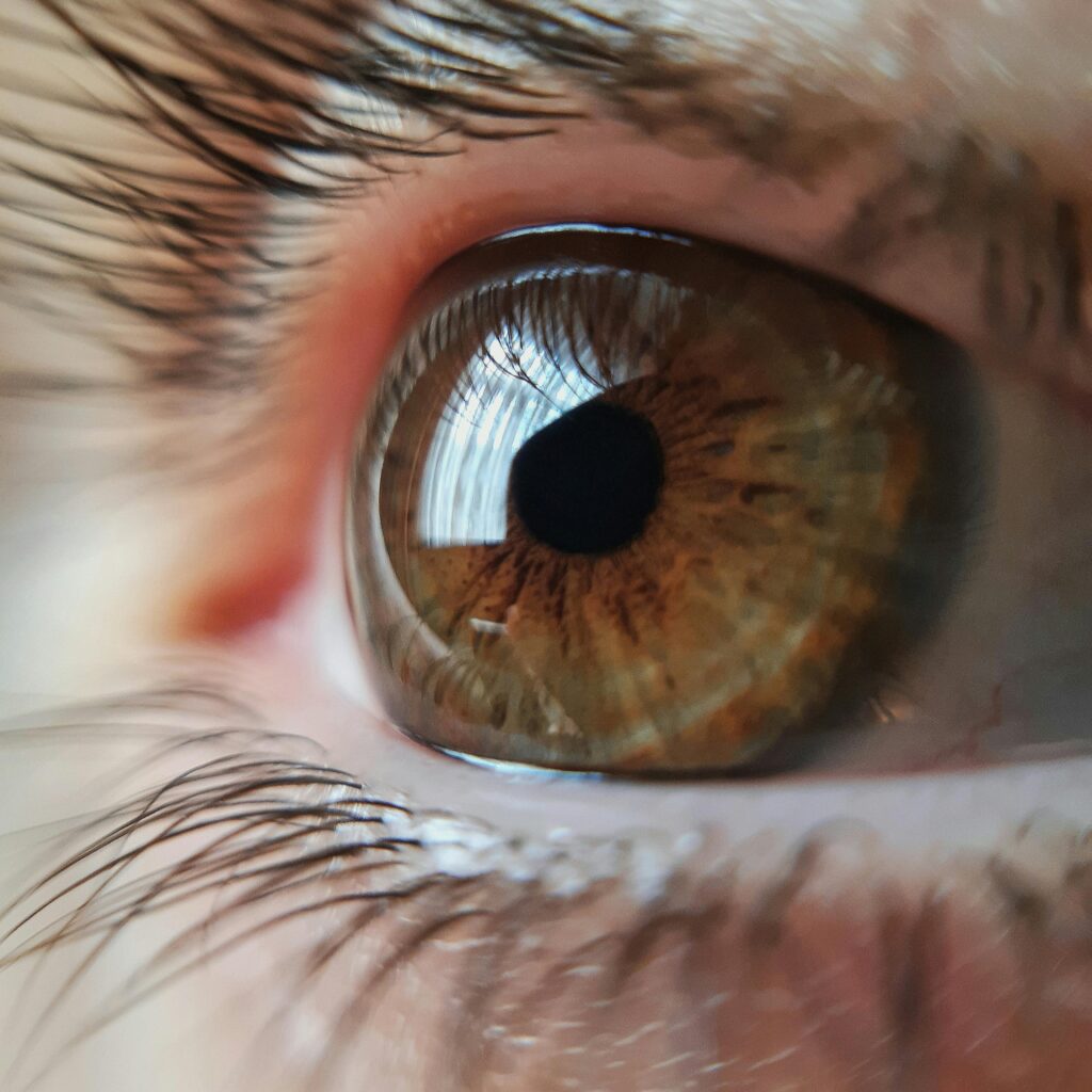 ungeschminktes Auge Nahaufname, glatter gesunder Tränenfilm
