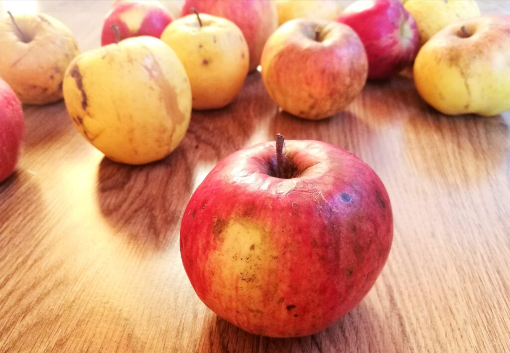 Äpfel natürlich unbehandelt reif